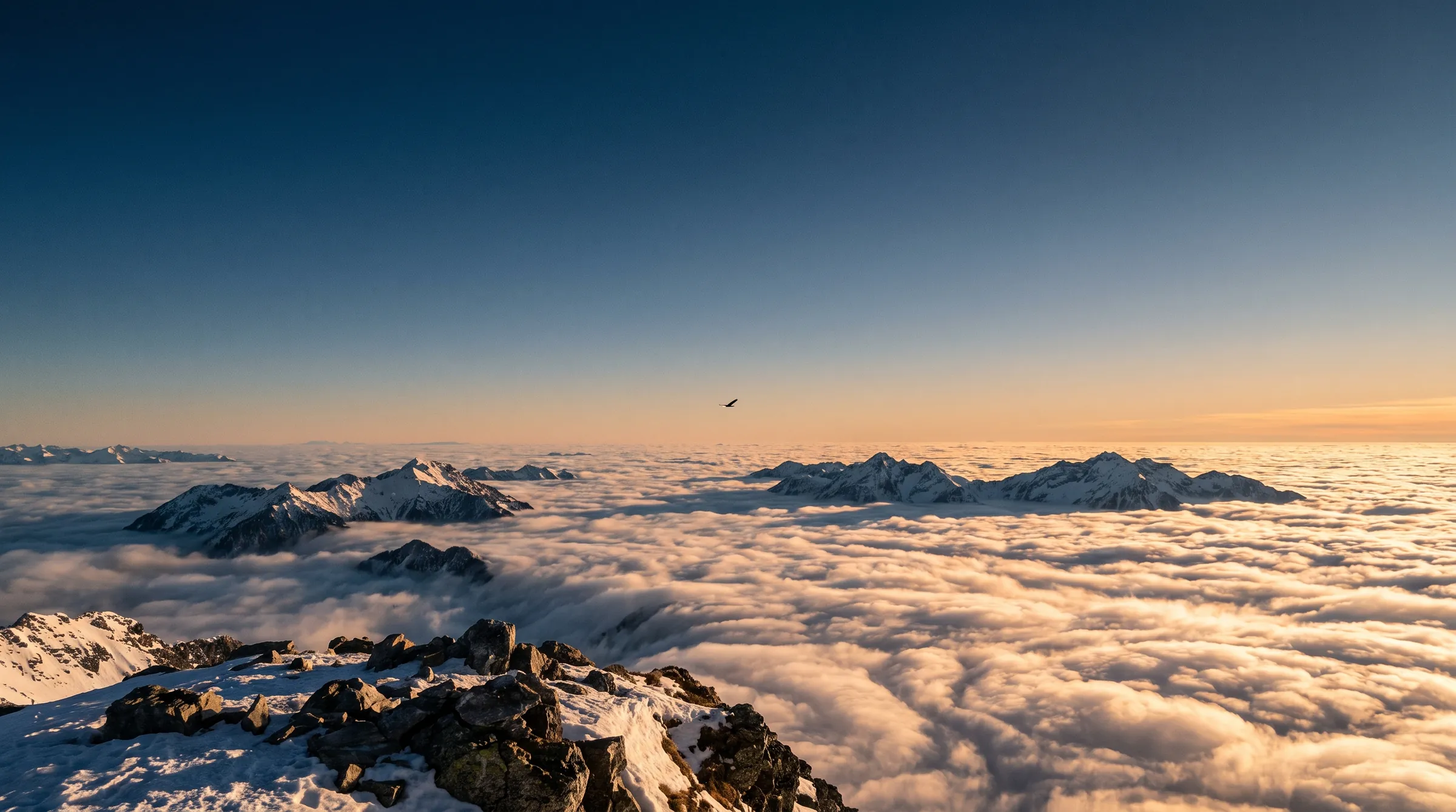 Blick von einem Alpengipfel über ein Wolkenmeer bei Sonnenaufgang, in der Ferne gleitet ein Adler